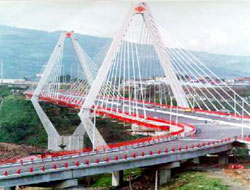 Information about Pereira